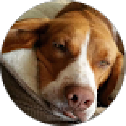 Client Image